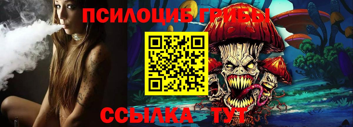 Лесосибирск  Псилоцибиновые грибы Psilocybine cubensis  Вход с VPN 