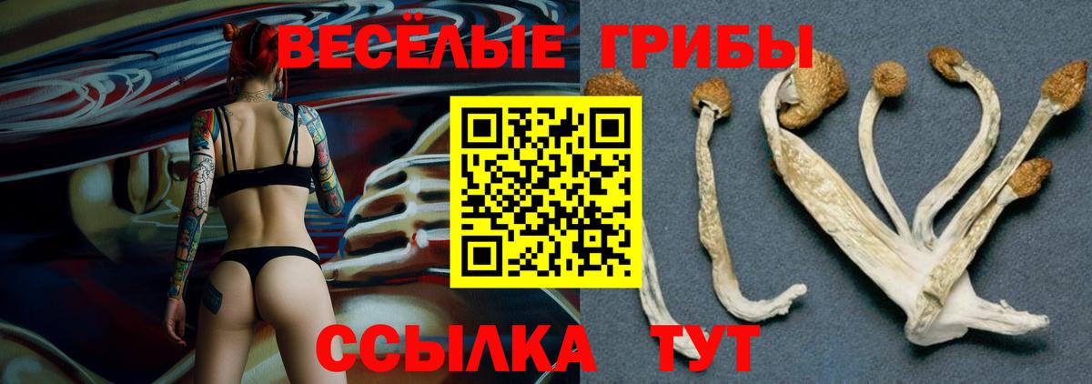 Псилоцибиновые грибы Magic Shrooms Лесосибирск