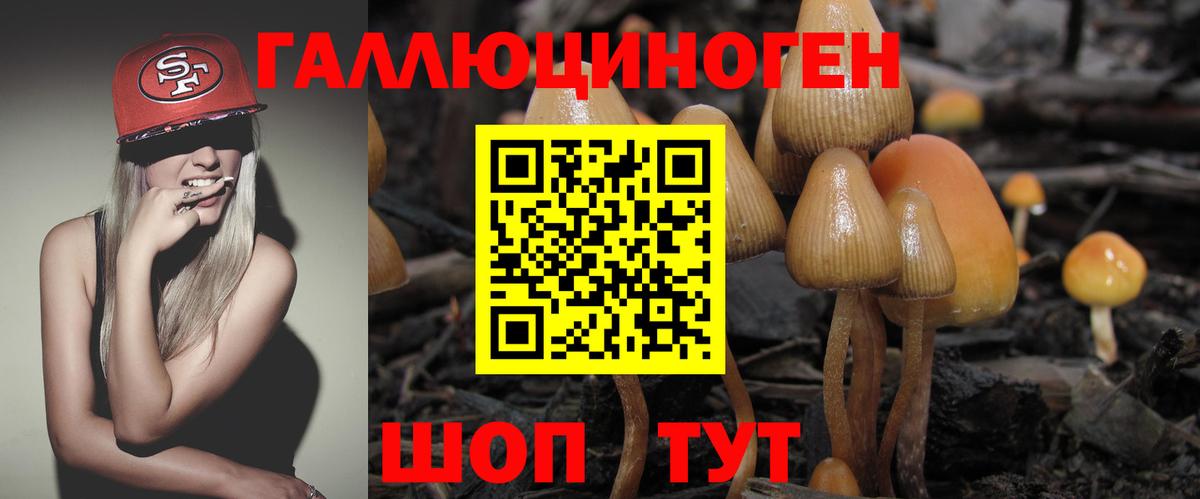 ГАШИШ Лесосибирск